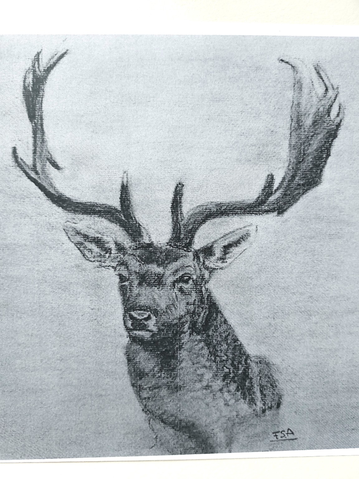 Gamo